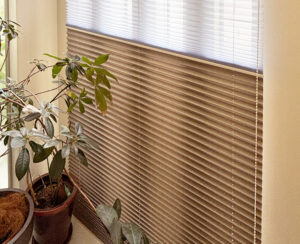 レース＆遮光でリビングを彩る☆もなみツインスタイル